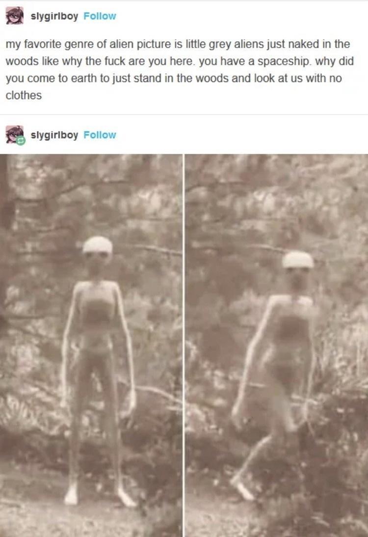 25 Funny Memes for Every Mood 6 Favorte genre of picture - Funny Memes for Every Mood
