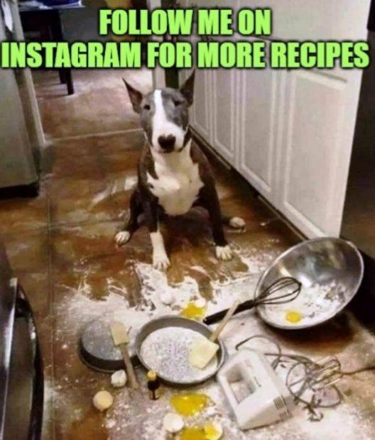 15 Memes for Instant Happiness 6 Follow me