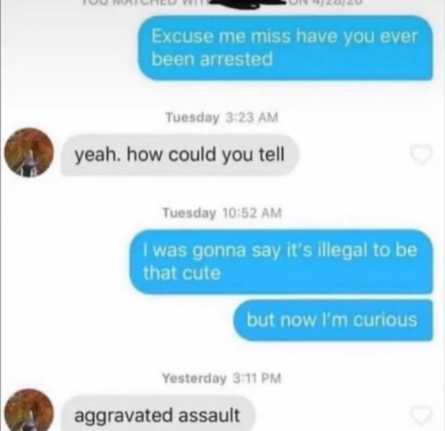 20 Funny Tinder Chats: Swipe Right for a Dose of Hilarity 9 Hav you ever been arrested - Tinder Chats