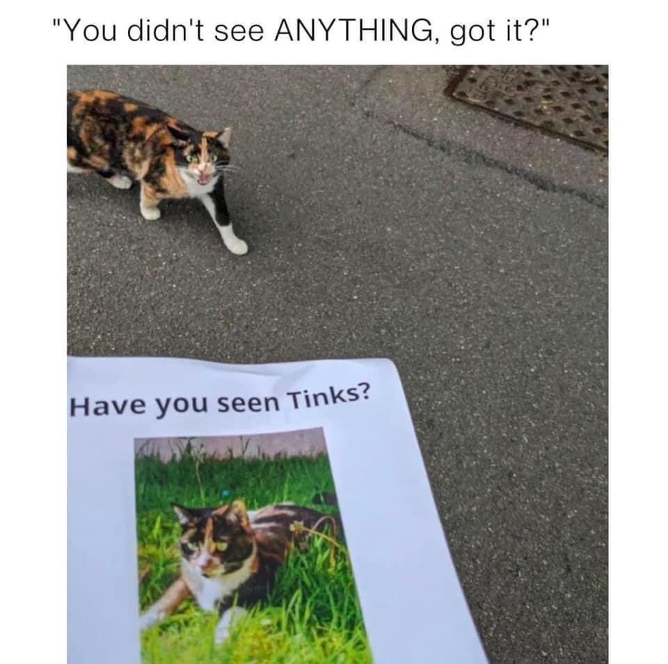 20 Memes That Keep You Guessing 7 Have you seen tinks