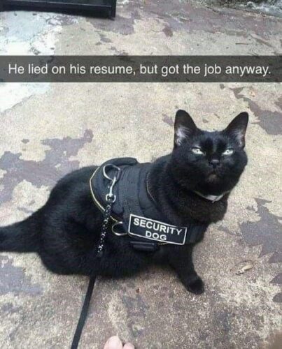 28 "When You Lie On Your Resume But Still Get The Job" Memes 25 He lied on his resume - When You Lie On Your Resume But Still Get The Job