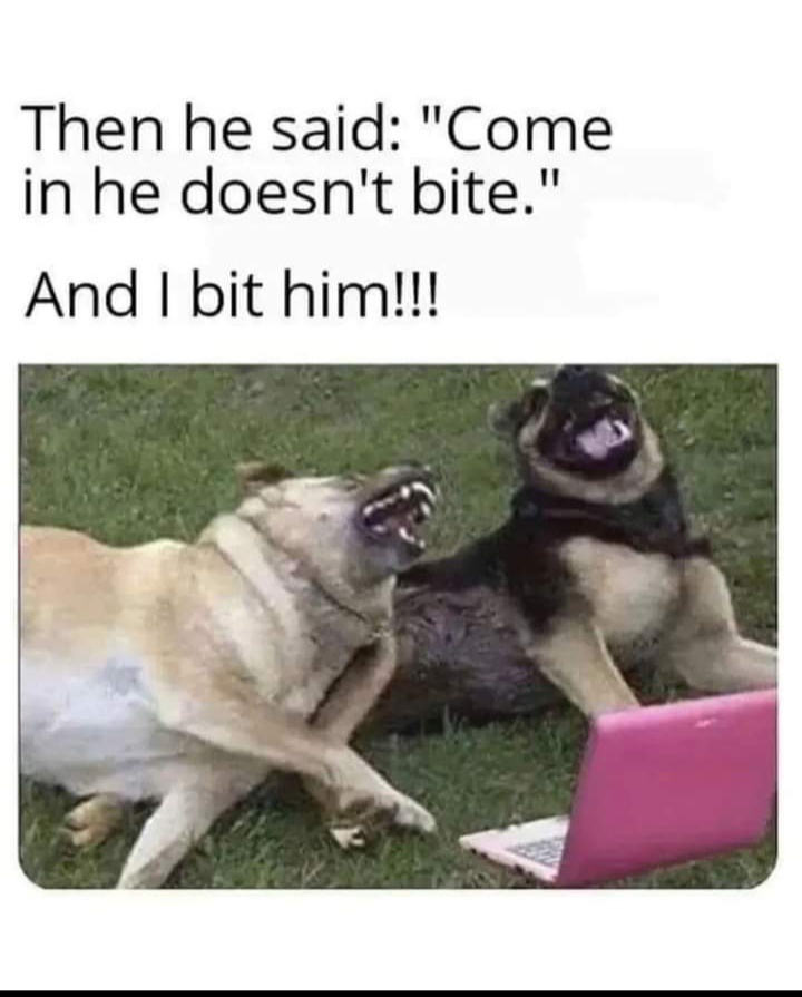 29 Funny “Trust Issues Memes” For People Who Trust Less 28 He said comein