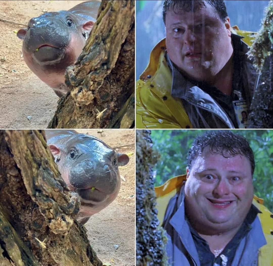 20 Memes to Make Your Day 10x Funnier 17 Hipo