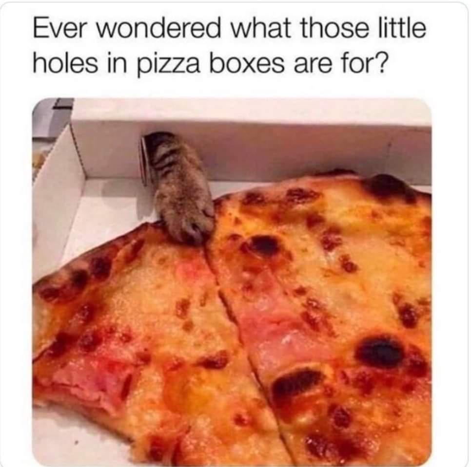 10 Whimsical Instances of Uncommon Humor 5 Holes in pizza boxes