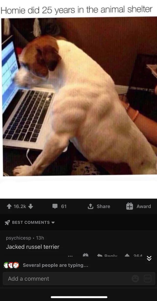 24 Instances Where Funny Comments Outshone the Posts 8 Homie did 25 years - Funny Comments