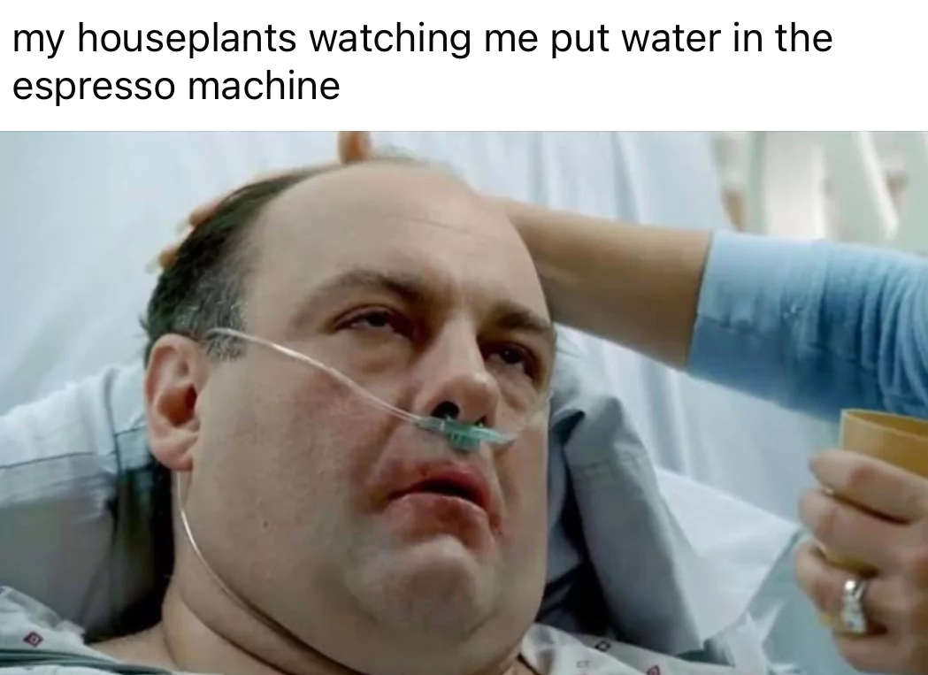 25 Sopranos Memes That'll Have You Applauding! 26 Houseplants watching me
