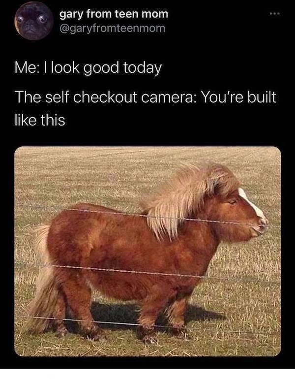 24 Adulting Memes for a Hilarious Break from the Responsibilities 7 I look good - Adulting Memes