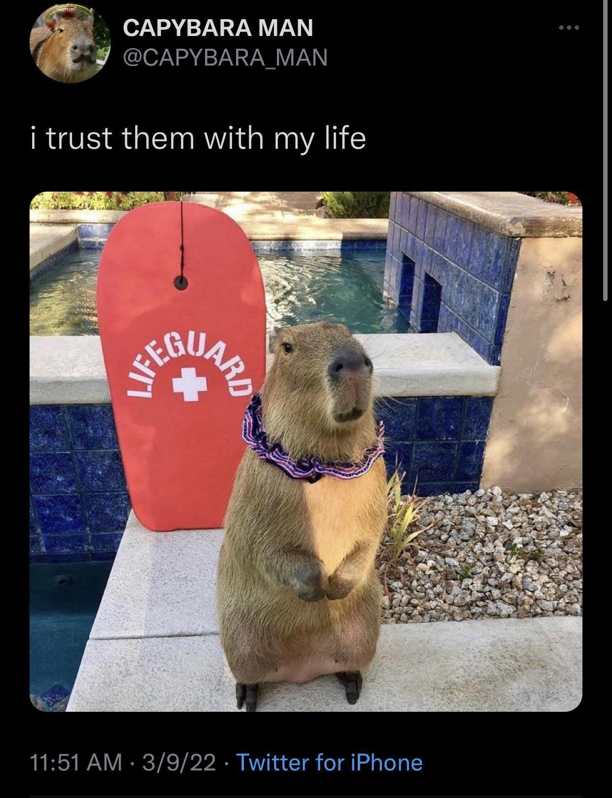 20 Memes That Keep You Guessing 10 I trust them