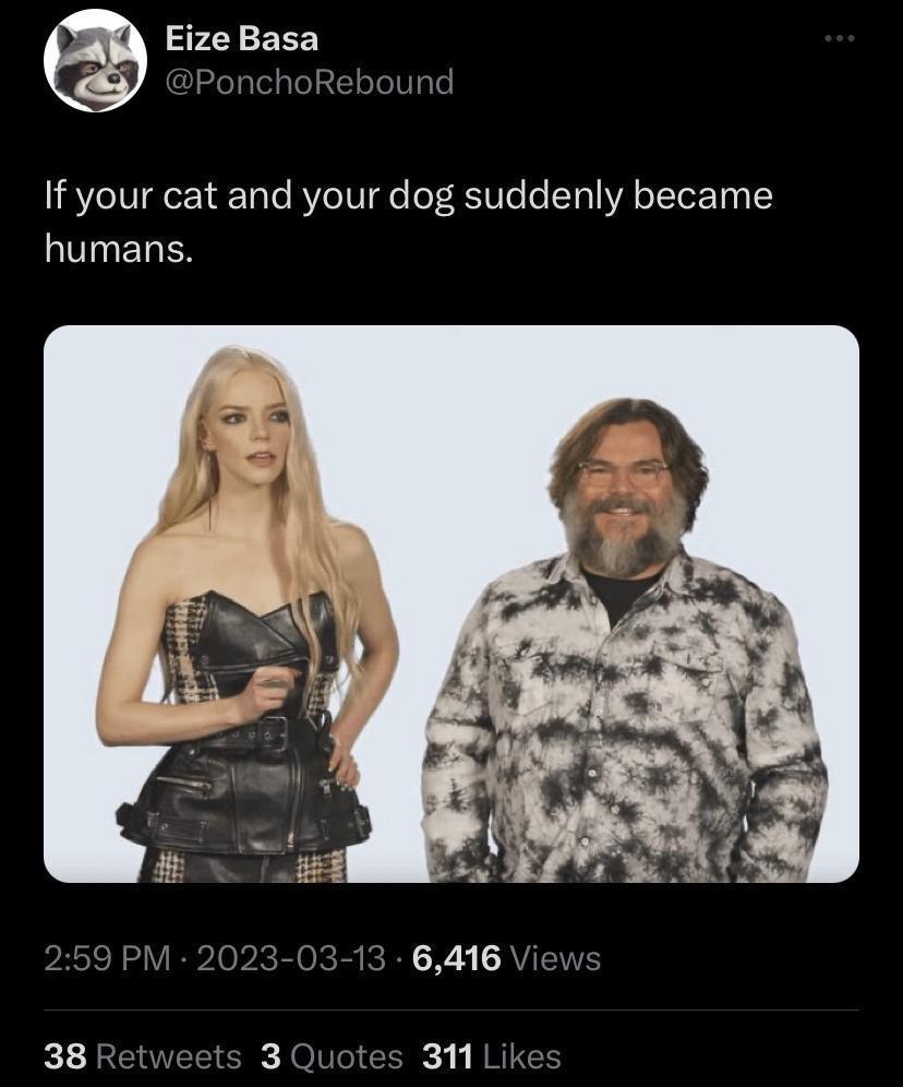 10 Playful Contrasts That Bring the Laughs 5 If your cat and dog suddenly become humans