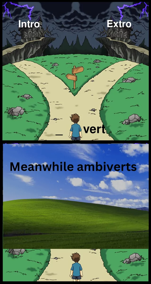 23 Introvert vs Extrovert Memes That Are Extremely Relatable 18 Intro vs Extro - Introvert vs Extrovert Memes