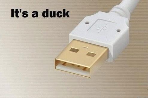 20 Memes That Keep You Guessing 11 Its a duck