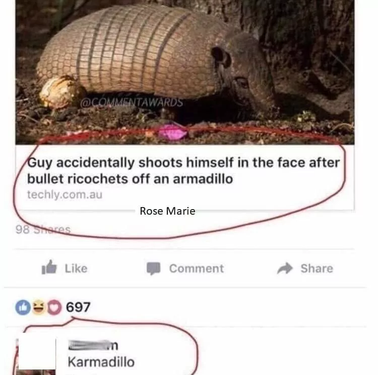 21 Karma Memes for Those Who Believe in Cosmic Payback 21 Karmadillo