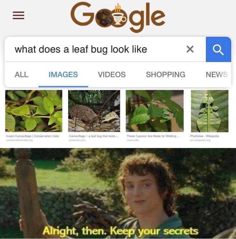 25 Funny Memes for Every Mood 9 Leaf bug look like - Funny Memes for Every Mood