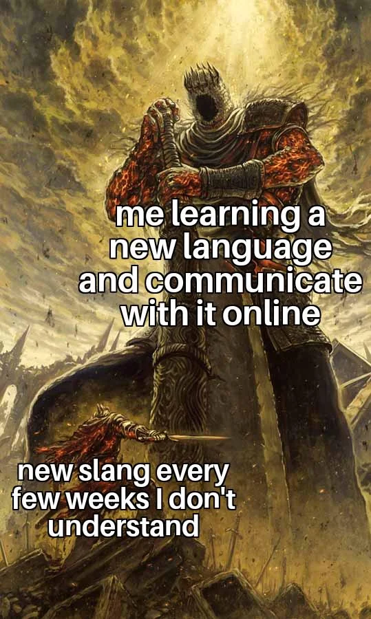 30 Funny "The Struggle Is Real Memes" That'll Make Your Day Struggle Free 27 Learning new language