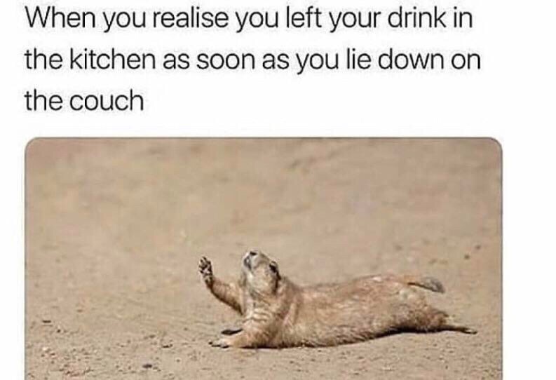 20 Off-the-Wall Memes: Laugh Your Socks Off 3 Lie down on couch - Off-the-Wall Memes