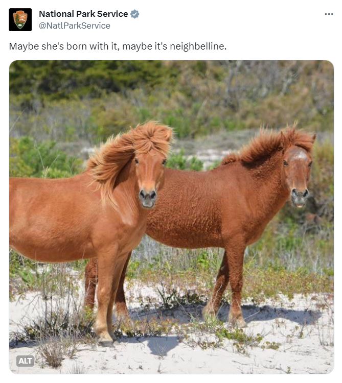 Nature Meets Comedy: 20 Must-See Tweets from the National Park Service's Comedy Goldmine 12 Maybe she is born with it - National Park Service