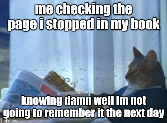 20 Bookish Memes That Speak the Reader's Language 12 Me checking page - Bookish Memes