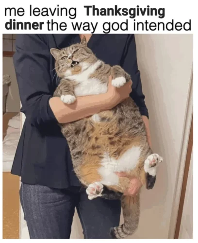 34 Best "Thanksgiving Memes" For You To Celebrate The Holiday 30 Me leaving thanksgiving - Thanksgiving Memes