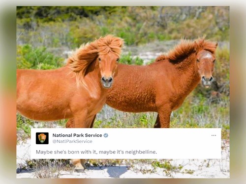 National Park Service - FG