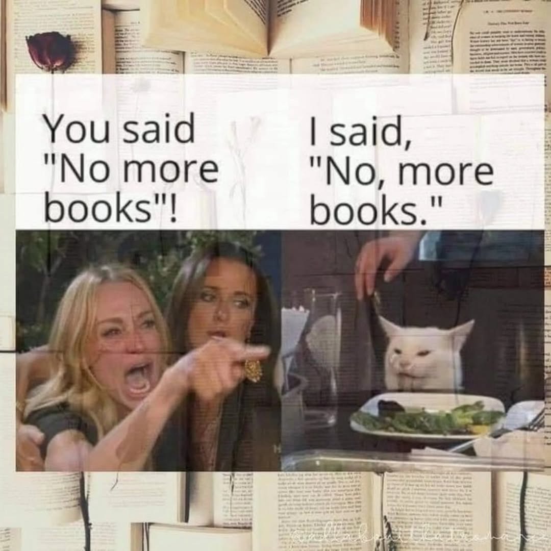 25 Bookish Memes That Speak the Reader's Language 23 No more books