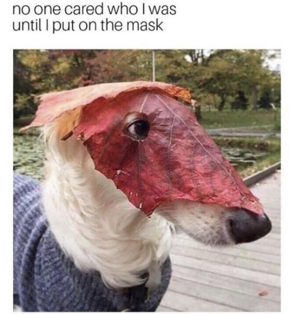 20 Memes That Keep You Guessing 19 No one cared who I was