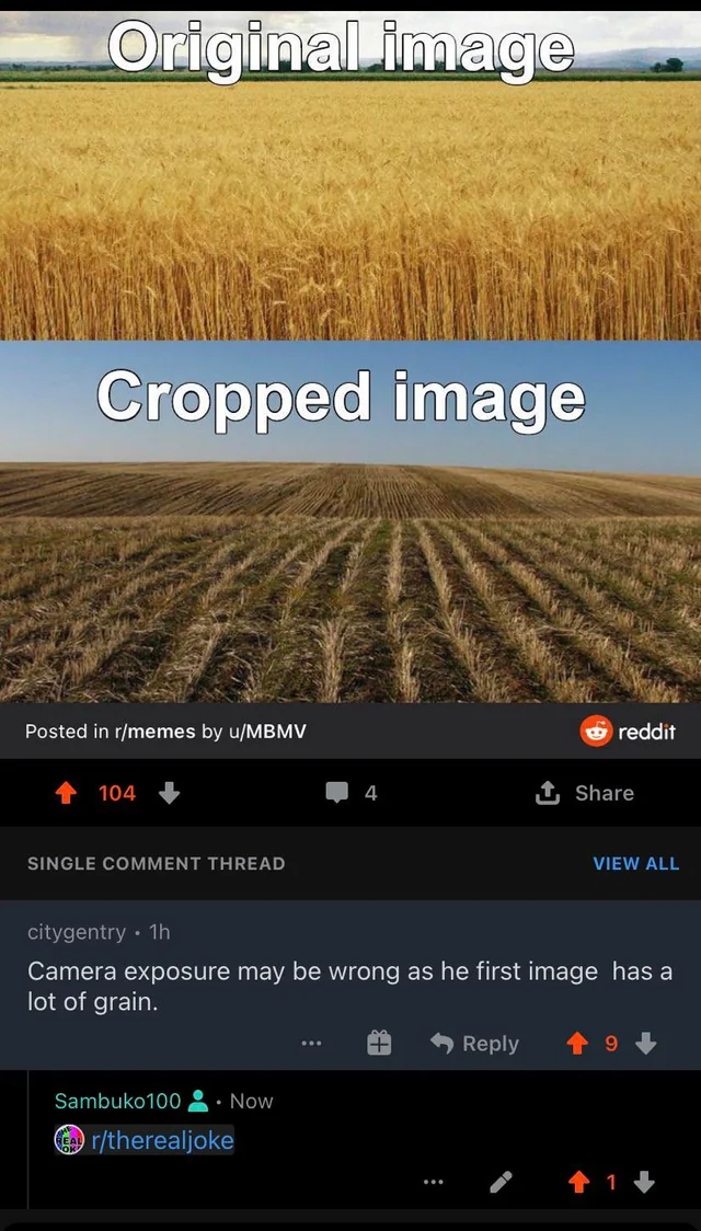 24 Instances Where Funny Comments Outshone the Posts 12 Original Image vs Cropped Image - Funny Comments