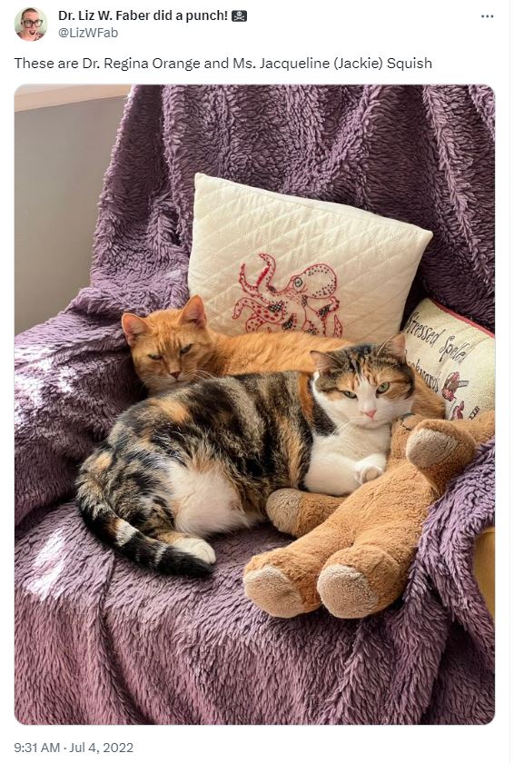 20 Silly Cat Names That Will Cat-ch You Off Guard 11 Regina Orange - Silly Cat Names