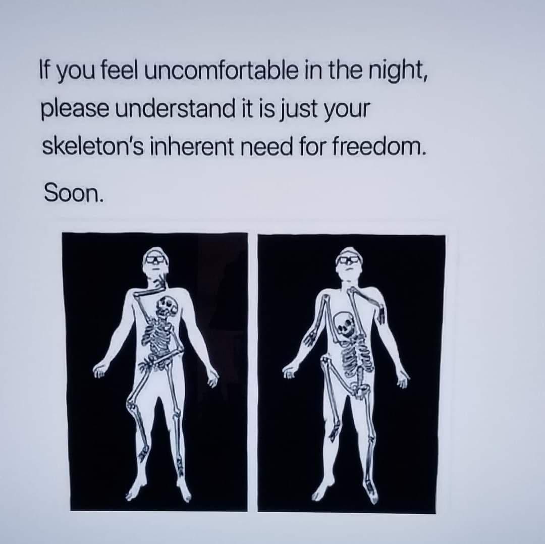 25 Whacko Memes of Spontaneous Humor 10 Skeletins - Whacko Memes