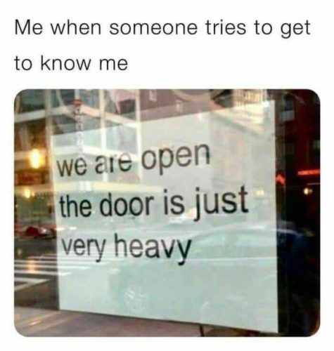 22 Memes for Introverts Celebrating Solitude 17 Someone tries to get to knwo me - Memes for Introverts