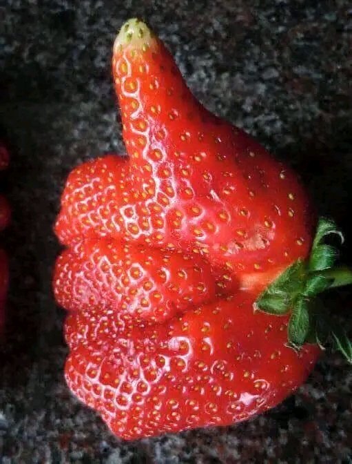 Pics That Go Hard: 30 Unapologetically Intense Pictures Making Waves on This X Page 19 Strawberry best - Intense Pictures