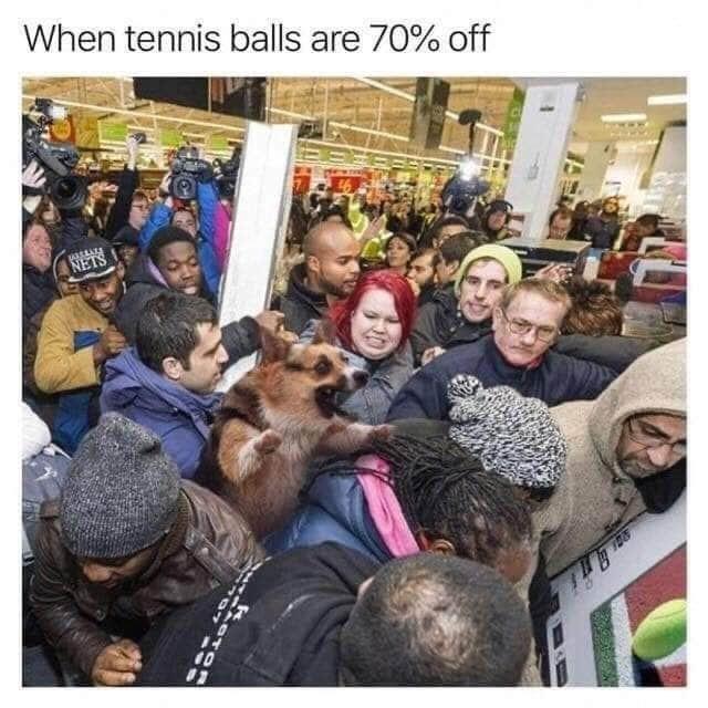 24 Black Friday Memes that Perfectly Capture the Shopping Madness 23 Tennis balls are