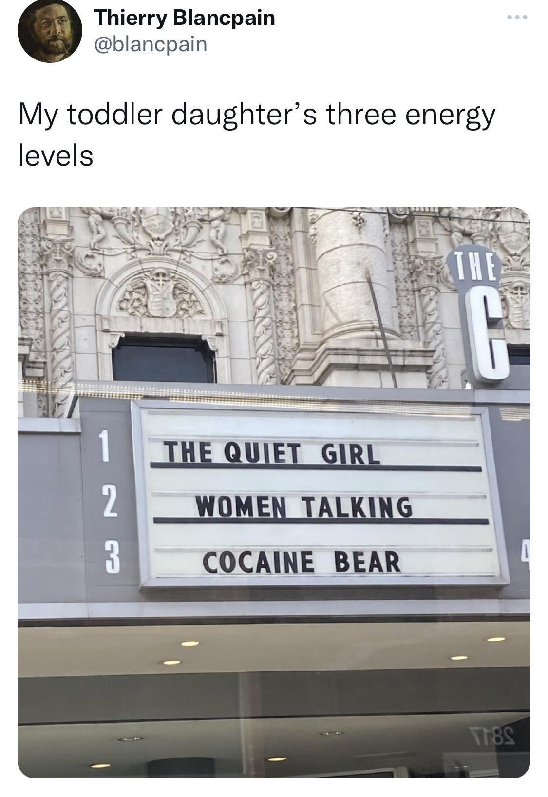 17 Haphazardly Hilarious Memes That Defy Explanation 6 The quiet girl - Haphazardly Hilarious Memes