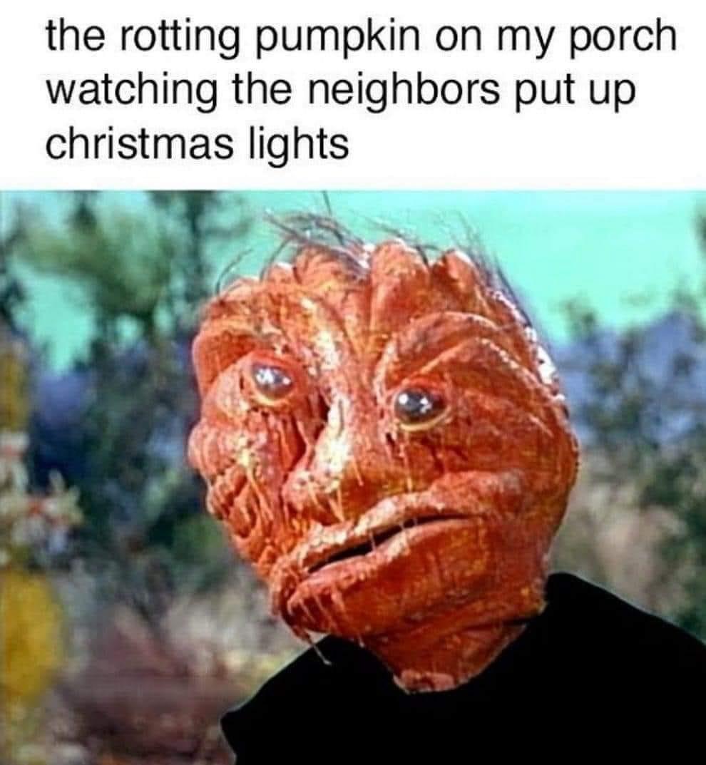 The rotting pumpkin - Stolen Memes