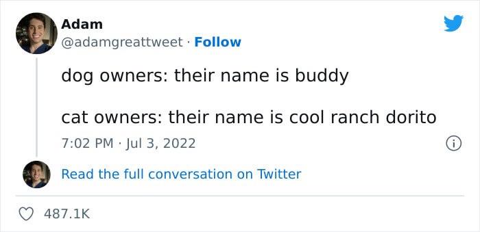 20 Silly Cat Names That Will Cat-ch You Off Guard 1 Their name is buddy - Silly Cat Names