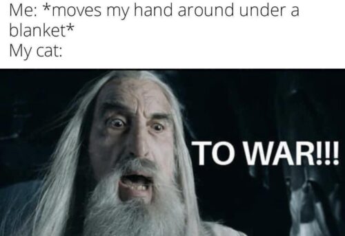 30 Memes That Keep You Guessing 30 Slice of pizza