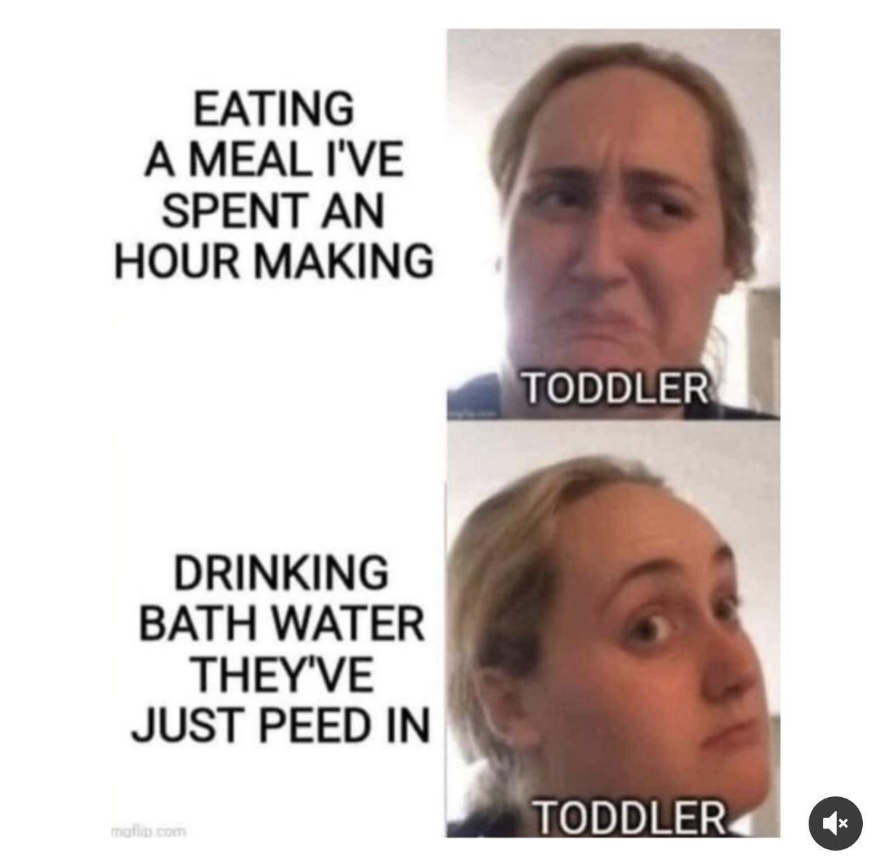 17 Haphazardly Hilarious Memes That Defy Explanation 7 Toddler - Haphazardly Hilarious Memes