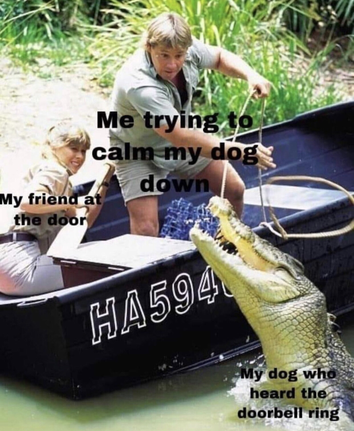 25 Unexpected Memes That Defy All Expectations 24 Trying to calm my dog