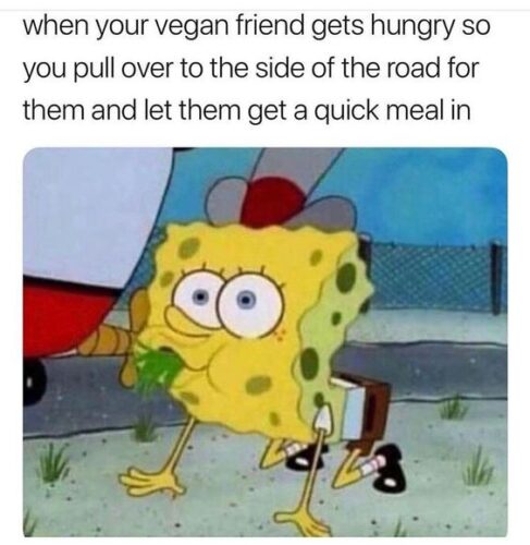 20 Spongebob Reaction Memes that Summarize Your Day Perfectly 2 Vegan friend