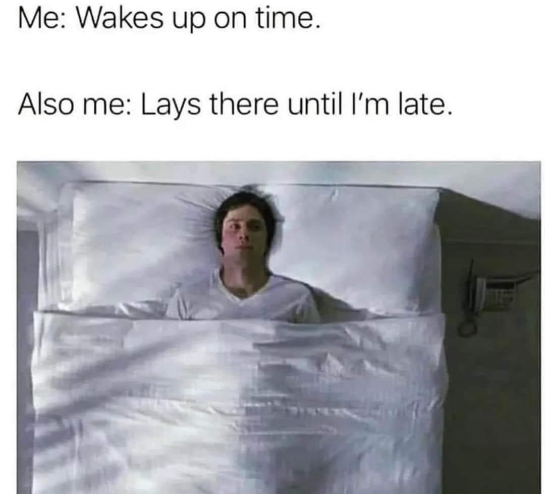 25 Unexpected Memes That Defy All Expectations 15 Wakes up on time - Unexpected Memes