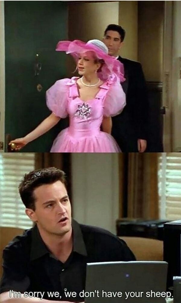 25 Classic Chandler Bing Sarcastic Moments 20 We dont have your sheep - Chandler Bing Sarcastic