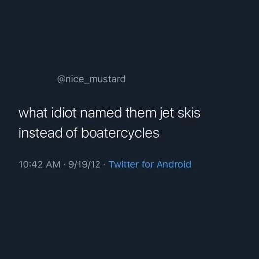 30 Idiot Memes for a PhD in Nonsense 18 What idiot named jet skis - Idiot Memes