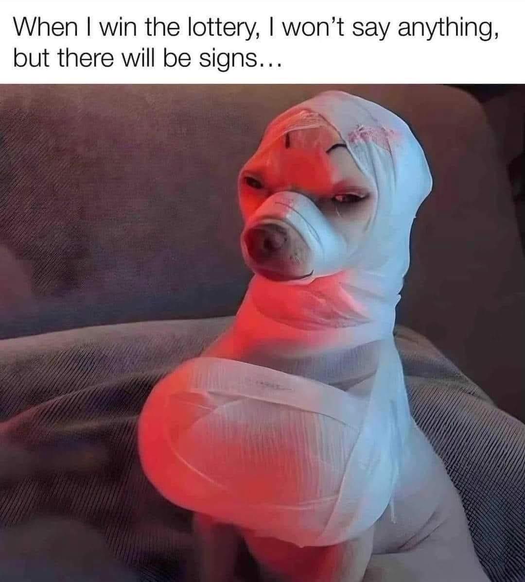 20 Memes That Keep You Guessing 26 When I win lottery