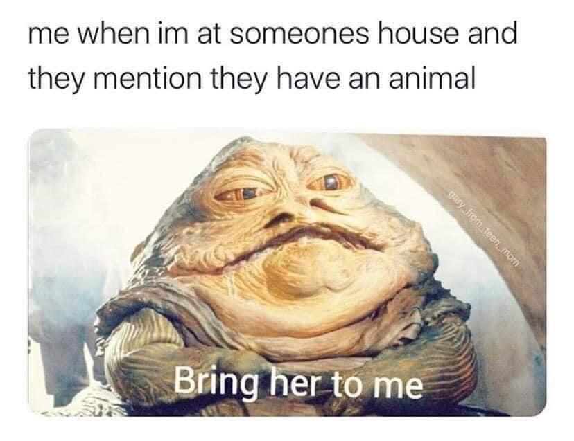 25 Unexpected Memes That Defy All Expectations 17 When Iam at somesone house - Unexpected Memes