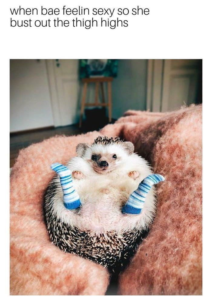 20 Memes That Keep You Guessing 25 When bae feeling