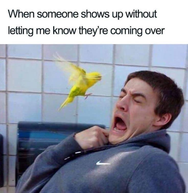 25 Unexpected Memes That Defy All Expectations 18 When someone shows up - Unexpected Memes