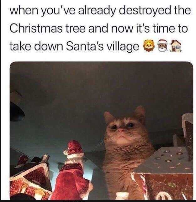20 Off-the-Wall Memes: Laugh Your Socks Off 15 When you destroyed christmas tree - Off-the-Wall Memes