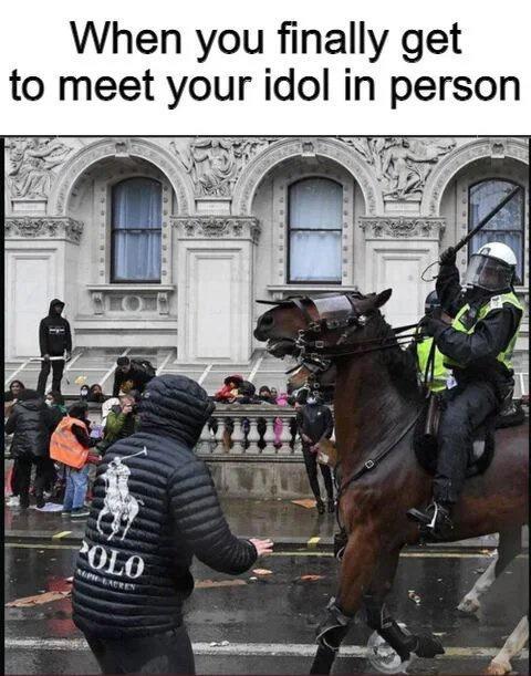 25 Funny Memes for Every Mood 20 When you finally get tp meet your idol - Funny Memes for Every Mood