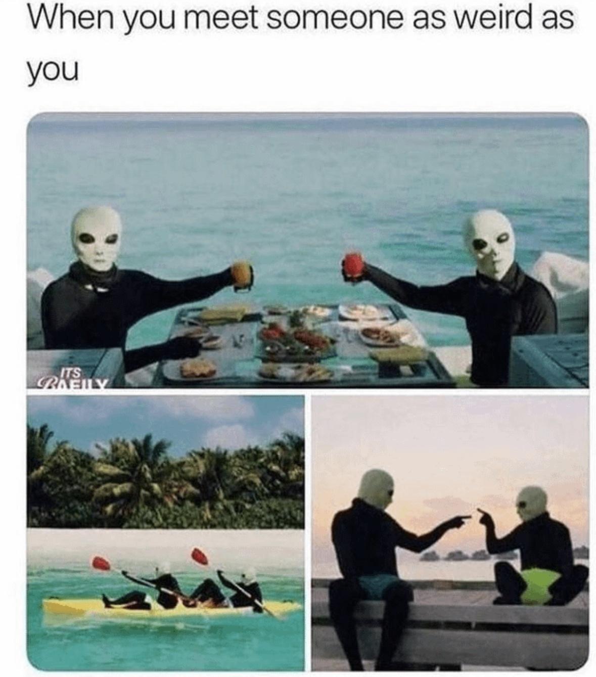 20 Hilarious Memes That Speak Louder Than Words 15 When you meet someone