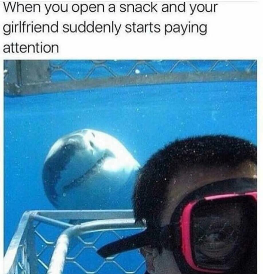 20 Off-the-Wall Memes: Laugh Your Socks Off 17 When you open a snack - Off-the-Wall Memes