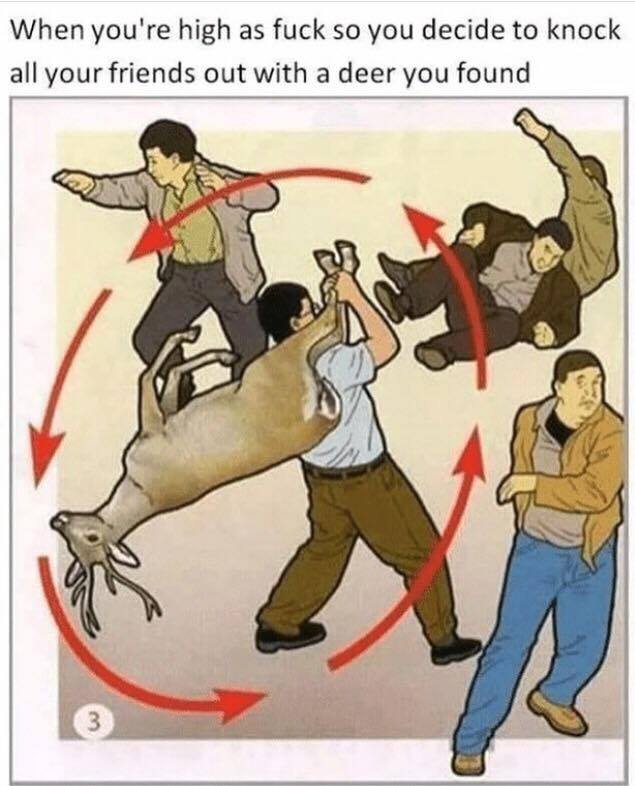 30 Idiot Memes for a PhD in Nonsense 22 When youre high - Idiot Memes